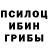 Псилоцибиновые грибы GOLDEN TEACHER Maks :::::::