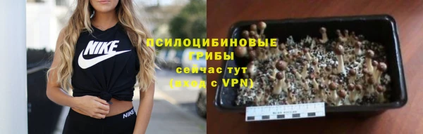 молекула духа Абдулино