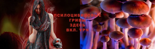 скорость Абинск
